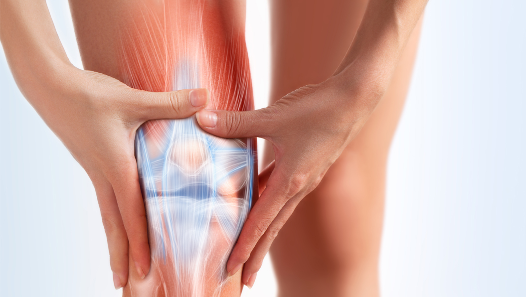 營(yíng)養與健康